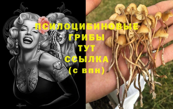 дживик Кулебаки