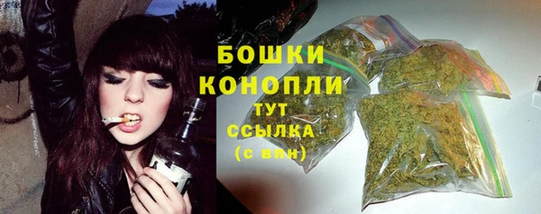 прущие грибы Куйбышев