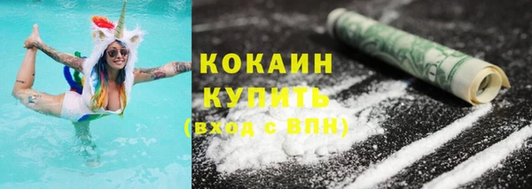 прущие грибы Куйбышев