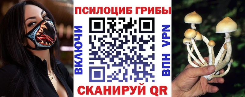 Галлюциногенные грибы Psilocybe как найти закладки Макарьев